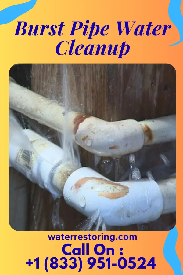 Burst Pipe Water Cleanup in Muncie, IN