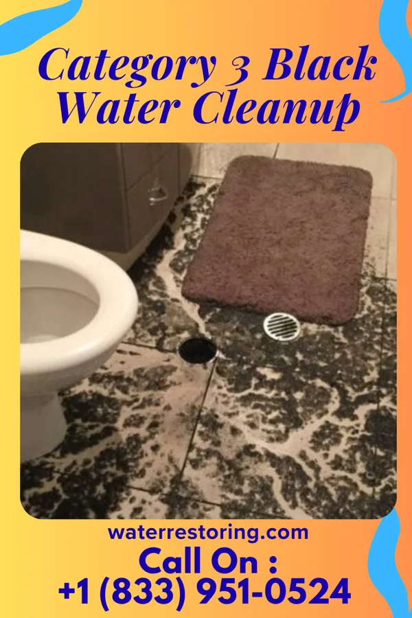 Category 3 Black Water Cleanup in Muncie, IN